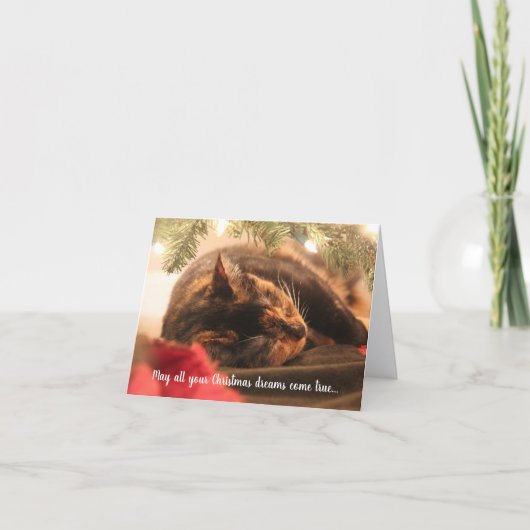 クリスマスの夢をみるカラシロネコ（オーダーメイド）, シーズンカード (正面)