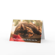 クリスマスの夢を眠る三色猫, オーダーメイド