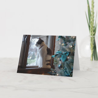 クリスマスの夢 シーズンカード