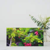 クリスマスの大枝 シーズンカード (スタンド正面)