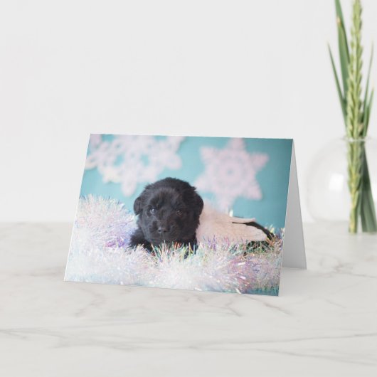 クリスマスの天使の子犬 シーズンカード (正面)