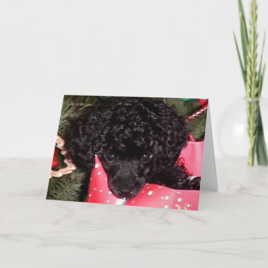 クリスマスの天使 シーズンカード (正面)