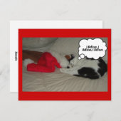 クリスマスの子ネコの前の晩 シーズンカード (正面/裏面)