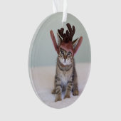 クリスマスの子ネコ オーナメント (正面)
