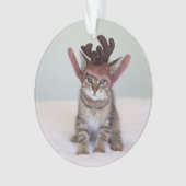クリスマスの子ネコ オーナメント (正面)
