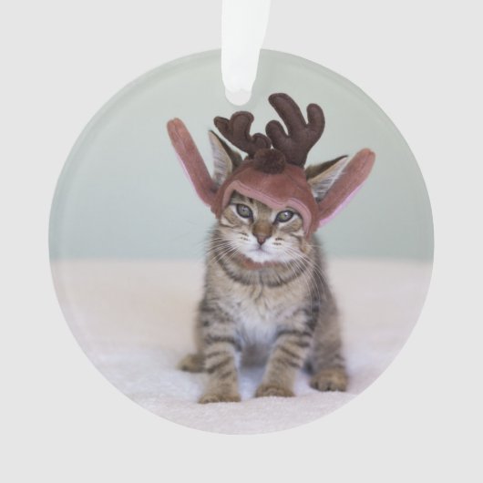 クリスマスの子ネコ オーナメント (正面)