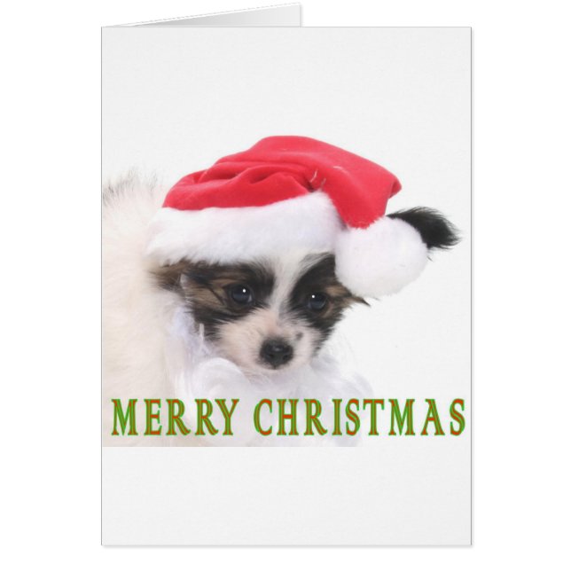 クリスマスの子犬 (正面)