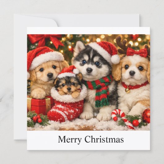 クリスマスの子犬 シーズンカード (正面)