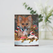 クリスマスの子犬 シーズンポストカード (スタンド正面)