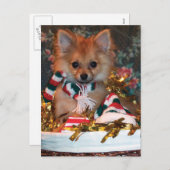 クリスマスの子犬 シーズンポストカード (正面/裏面)