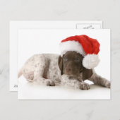 クリスマスの子犬 – ドイツ語の短いポインタ シーズンポストカード (正面/裏面)