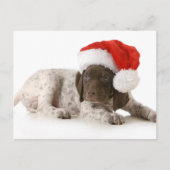 クリスマスの子犬 – ドイツ語の短いポインタ シーズンポストカード (正面)
