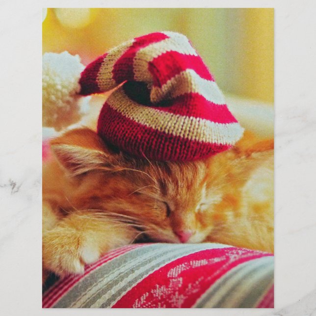 クリスマスの子猫 (正面)