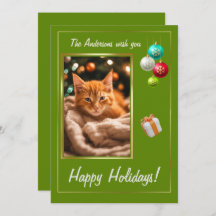 クリスマスの子猫2，ハッピーホリデー，かわいい子猫,