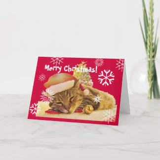 クリスマスの子猫 シーズンカード