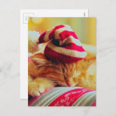 クリスマスの子猫 シーズンポストカード (正面/裏面)