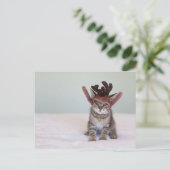 クリスマスの子猫 シーズンポストカード (スタンド正面)