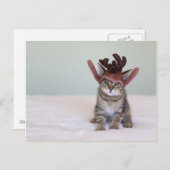 クリスマスの子猫 シーズンポストカード (正面/裏面)