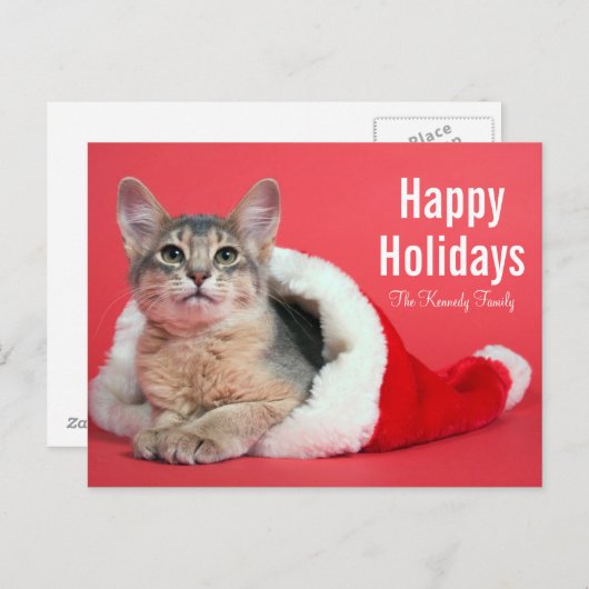 クリスマスの子猫 シーズンポストカード (正面/裏面)