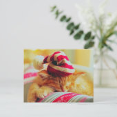 クリスマスの子猫 シーズンポストカード (スタンド正面)