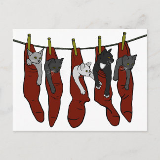 クリスマスの子猫 |チャトンデノエル葉書 ポストカード