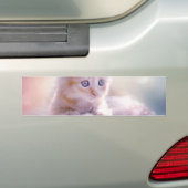 クリスマスの子猫 バンパーステッカー (車上)