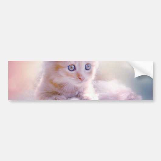 クリスマスの子猫 バンパーステッカー (正面)