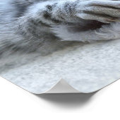 クリスマスの子猫 ポスター (角)