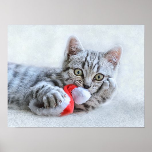 クリスマスの子猫 ポスター (正面)