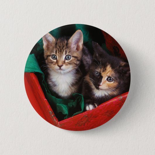 クリスマスの子猫 缶バッジ (正面)