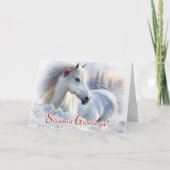 クリスマスの季節の挨拶 美しい馬 雪 カード (正面)
