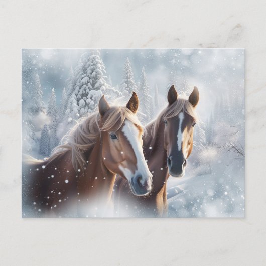 クリスマスの季節の挨拶 馬 雪 シーズンポストカード (正面)