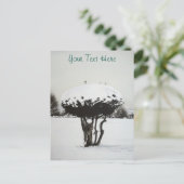 クリスマスの季節風景雪のシーン シーズンポストカード (スタンド正面)