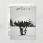 クリスマスの季節風景雪のシーン シーズンポストカード (正面/裏面)