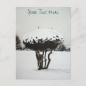 クリスマスの季節風景雪のシーン シーズンポストカード (正面)