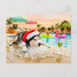クリスマスの岩場のハスキー犬 ポストカード