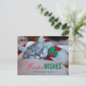 クリスマスの帽子およびスカーフの睡眠猫を持つ猫 シーズンポストカード (スタンド正面)