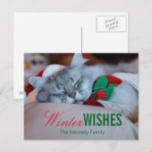クリスマスの帽子およびスカーフの睡眠猫を持つ猫 シーズンポストカード (正面/裏面)