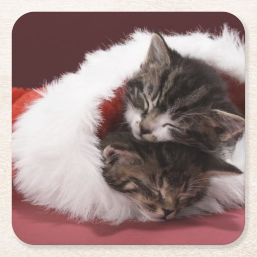 クリスマスの帽子で一緒に眠った子ネコ スクエアペーパーコースター (正面)