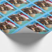 クリスマスの帽子のコアラの下で ラッピングペーパー (角)