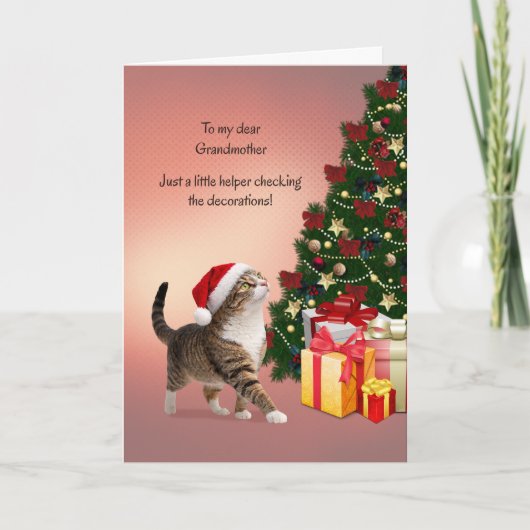 クリスマスの帽子をかぶった猫と祖母 シーズンカード (正面)