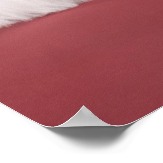 クリスマスの帽子をかぶって一緒に寝ている子猫 ポスター (角)