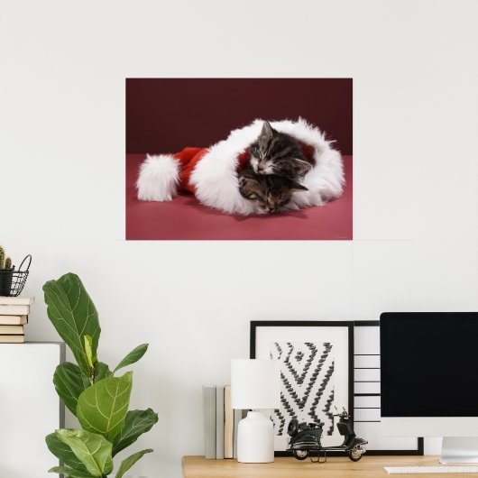 クリスマスの帽子をかぶって一緒に寝ている子猫 ポスター (ホームオフィス)