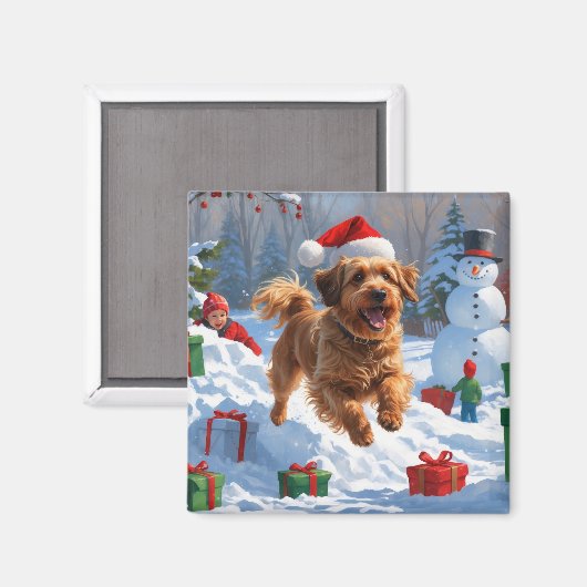 クリスマスの帽子をかぶって雪の中を走るハバニーズ マグネット (正面/裏面)