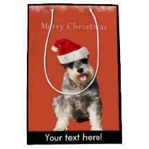 クリスマスの帽子を持つシュナウツァー