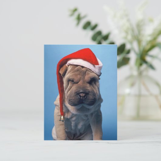 クリスマスの帽子を持つSharかわいいPeiの子犬 シーズンポストカード (スタンド正面)