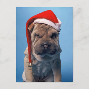 クリスマスの帽子を持つSharかわいいPeiの子犬 シーズンポストカード
