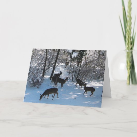 クリスマスの平和 カード (正面)