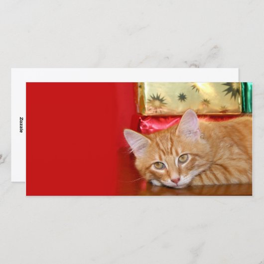 クリスマスの忍耐力 シーズンカード (正面/裏面)