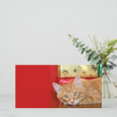 クリスマスの忍耐力 シーズンカード (スタンド正面)